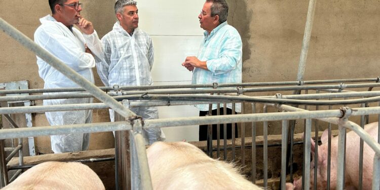 El Gobierno de Canarias concede ayudas PEPAC para modernizar 55 explotaciones ganaderas