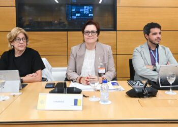 El Gobierno de Canarias exige al Estado que realice el triaje porque es una competencia estatal