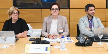 El Gobierno de Canarias exige al Estado que realice el triaje porque es una competencia estatal