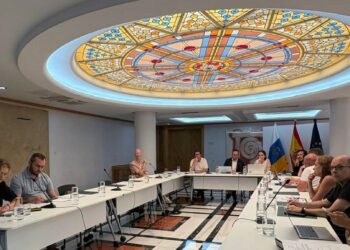 Canarias plantea al Consejo de Desarrollo Sostenible que incorpore a su acción a las generaciones futuras
