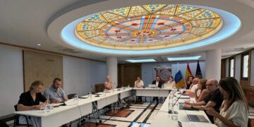Canarias plantea al Consejo de Desarrollo Sostenible que incorpore a su acción a las generaciones futuras