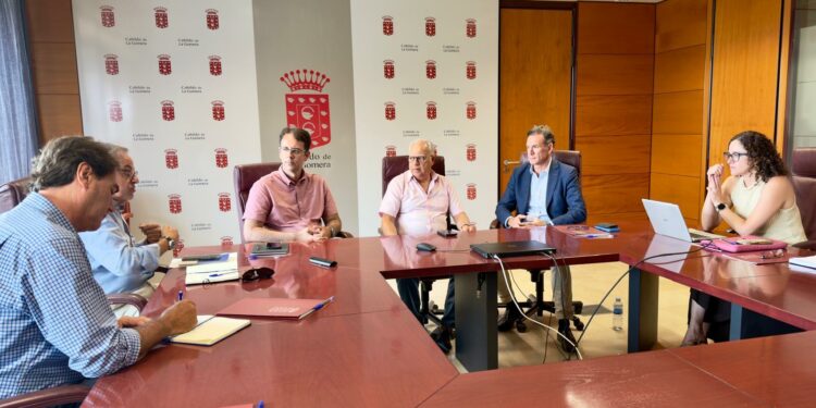 La Oficina de Proyectos Estratégicos y el Cabildo de La Gomera exploran nuevas iniciativas estratégicas en la isla