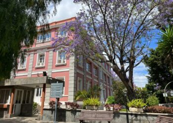 Sanidad da por cerrado el brote de sarampión notificado en junio en Tenerife