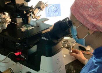 El HUC realiza más de mil doscientos tratamientos de Reproducción Humana en el año 2025