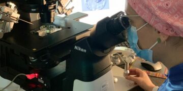 El HUC realiza más de mil doscientos tratamientos de Reproducción Humana en el año 2025
