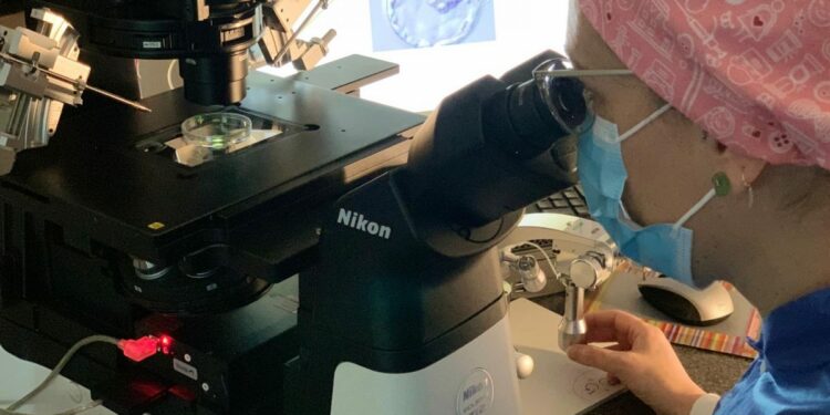 El HUC realiza más de mil doscientos tratamientos de Reproducción Humana en el año 2025