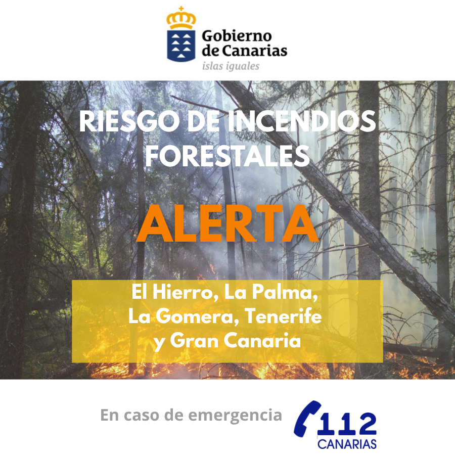 2-cartelas-infoca-1