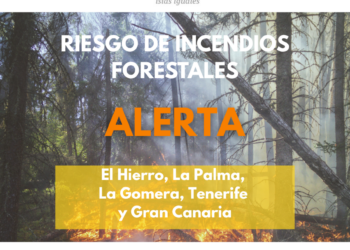 El Gobierno actualiza la situación a alerta por riesgo de incendios forestales en Gran Canaria e islas occidentales