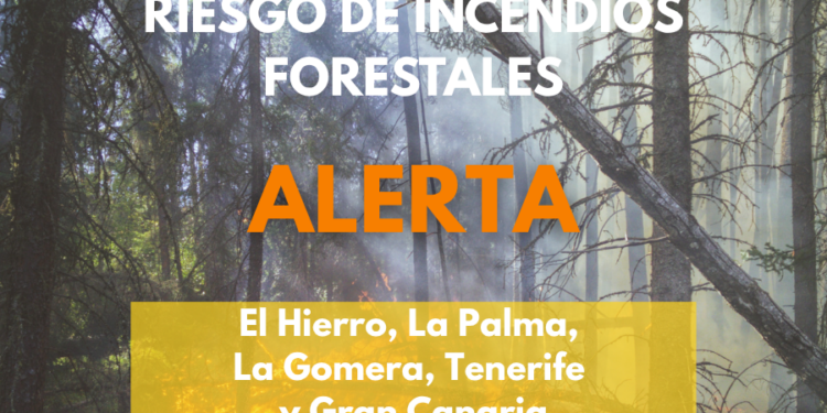 El Gobierno actualiza la situación a alerta por riesgo de incendios forestales en Gran Canaria e islas occidentales