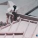 ‘Arar, sembrar, esperar’, la semilla documental que dio paso al Manifiesto de El Hierro