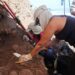Recuperados en Garachico los restos humanos parcialmente expuestos por la erosión costera