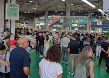 Las flores y plantas canarias se promocionan en China
