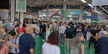 Las flores y plantas canarias se promocionan en China