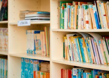 Educación refuerza la comprensión lectora y el aprendizaje de las matemáticas con sus proyectos Viera y Newton