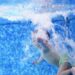 30 niños pierden la vida ahogados en España en lo que va de 2026