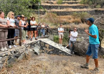 Rutas 2030 aborda en La Gomera nuevas soluciones para hacer frente al rabo de gato y recuperar la cultura del agua