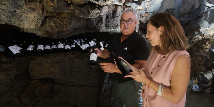 Turismo destaca el modelo de enoturismo de Bodegas Conatvs, Premio a la Excelencia Turística de Canarias