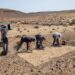 La investigación arqueológica en San Marcial de Rubicón amplía la búsqueda a nuevas áreas