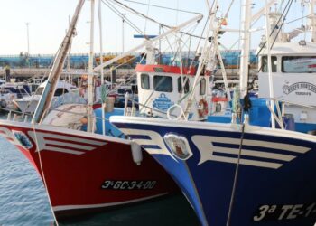 Canarias defiende ante Bruselas la importancia del Desarrollo Local Participativo en las comunidades pesqueras
