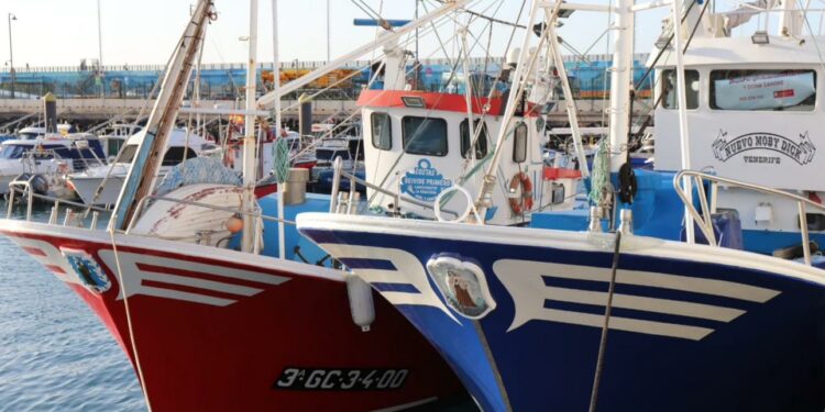 Canarias defiende ante Bruselas la importancia del Desarrollo Local Participativo en las comunidades pesqueras