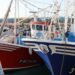 Canarias defiende ante Bruselas la importancia del Desarrollo Local Participativo en las comunidades pesqueras