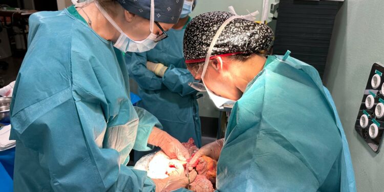 El seguimiento de la huelga de médicos en las instituciones sanitarias del SCS fue hoy del 7,8 por ciento