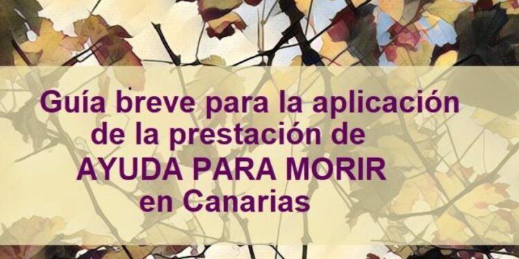 Monzón detalla en el Parlamento la organización y el funcionamiento del SCS para ofrecer la eutanasia