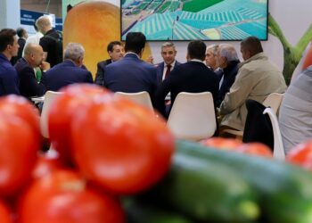 Canarias convierte su presencia en las grandes ferias hortofrutícolas en nuevas oportunidades de exportación