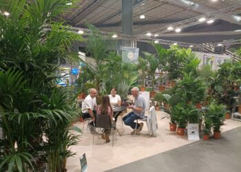 El sector canario de flores y plantas siembra sus objetivos de exportación en la mayor feria nacional, Iberflora