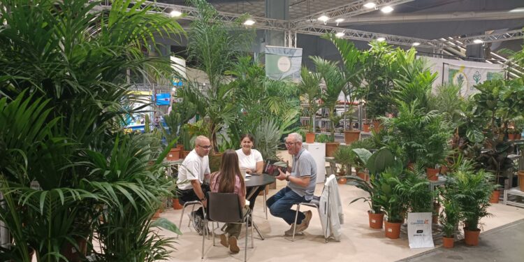 El sector canario de flores y plantas siembra sus objetivos de exportación en la mayor feria nacional, Iberflora