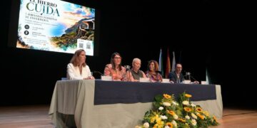Sanidad analiza en un encuentro profesional los retos y la práctica enfermera en El Hierro