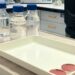 Salud Pública informa que el 99 por ciento de las zonas de aguas de baño de Tenerife tienen calificación de aptas