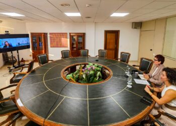 El ICI realiza una investigación para detectar las situaciones de riesgo de violencia de género de las víctimas