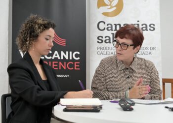 El Consejo rector del ICI aprueba la propuesta de decreto que regulará las ayudas a víctimas de violencia